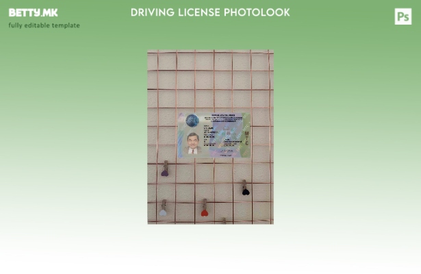 Модерен стил Перу возачка дозвола photolook ПРЕДЕН шаблон